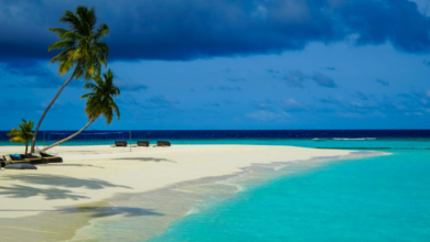 Beautiful:1lsfxpy_Qdg= Beaches