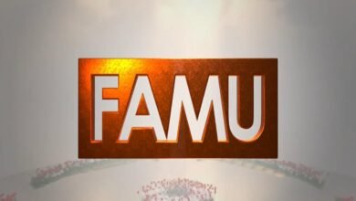 Logo:-1qmcpdaoeu= Famu