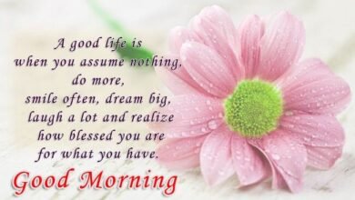 Beautiful:9wbski9gule= Good Morning Photos