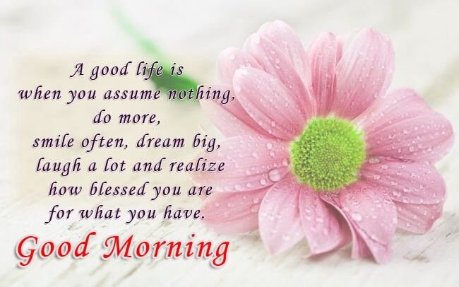 Beautiful:9wbski9gule= Good Morning Photos