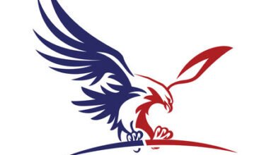Logo:8crach2vmhc= American Eagle