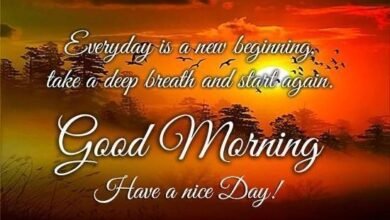 Beautiful:9wbski9gule= Good Morning Images