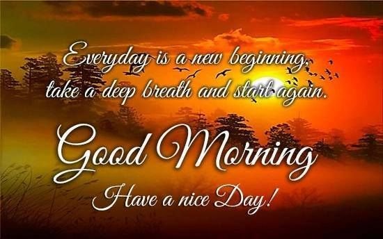 Beautiful:9wbski9gule= Good Morning Images