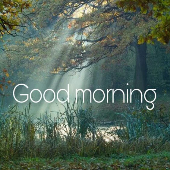 Beautiful:0f80uo0phyw= Nature:Kd9qmufahnc= Good Morning Images