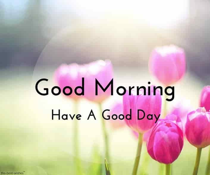 Beautiful:9wbski9gule= Good Morning Image