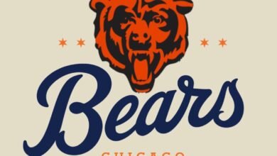 https://edoc9.net/logo0ufgilgzft0-bears/