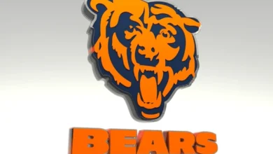 Logo:0ufgilgzft0= Bears