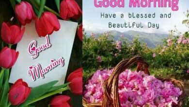 Beautiful:9wbski9gule= Good Morning
