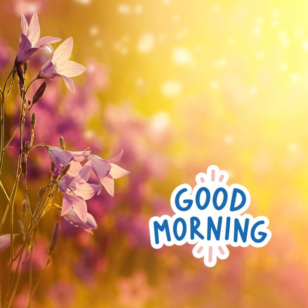 Beautiful:0f80uo0phyw= Today Special Good Morning Images