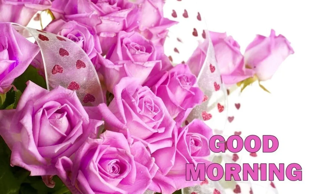 Beautiful:9wbski9gule= Good Morning