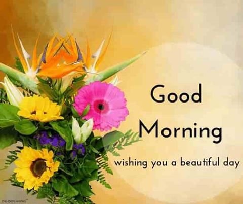 Beautiful:5dggzkdkohi= New Good Morning Wishes