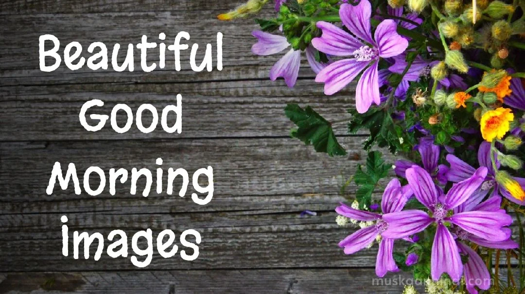Beautiful:5dggzkdkohi= New Good Morning Wishes