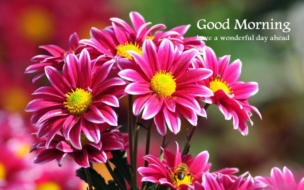 Beautiful:9wbski9gule= Rose:Ysuxrvcamsw= Good Morning