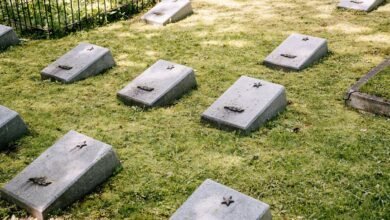forgotten number uncovered