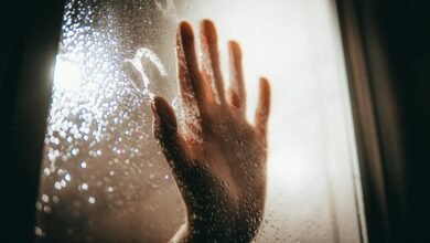 mystery of hidden signals