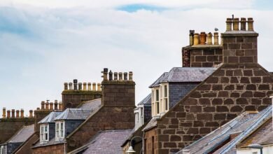 tracing a lost lineage