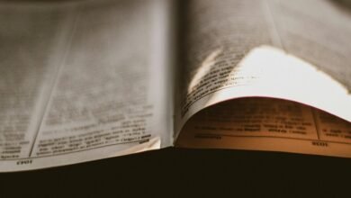 insight capsule reference numbers