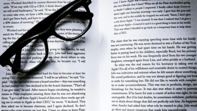 insight tracking frame numbers